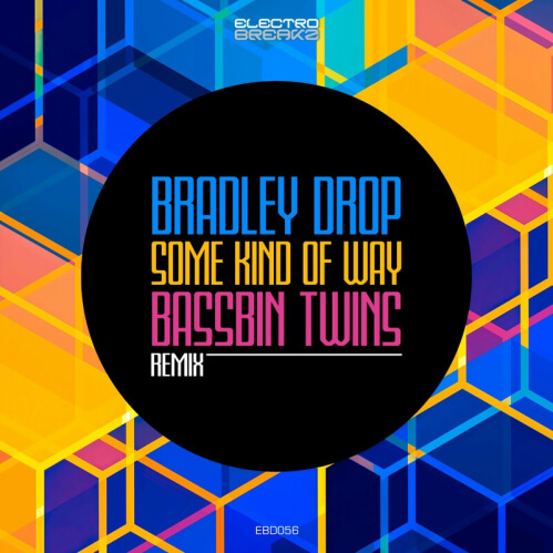 Download Bradley Drop - Some Kind Of Way (EBD056) mp3