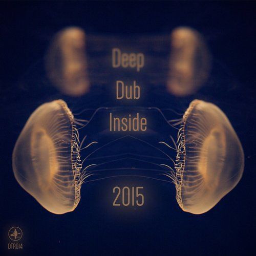 VA - DEEP DUB INSIDE 2015 LP [DTR014]