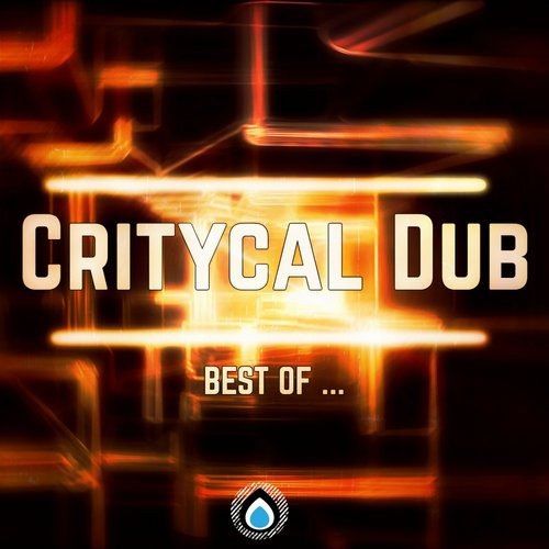 Critycal Dub - Best of ... Critycal Dub [LDBESTOF1]