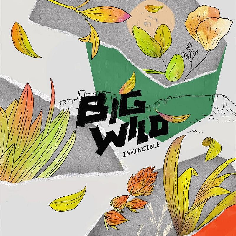 Big Wild - Invincible EP [FFC017]