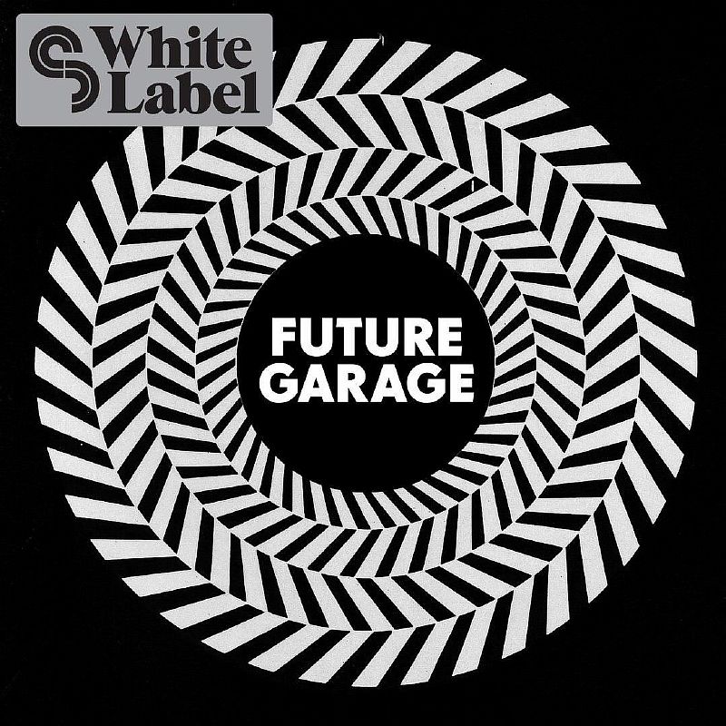 Download FUTURE GARAGE BIG PACK 40 ALBUMS [PACK] mp3