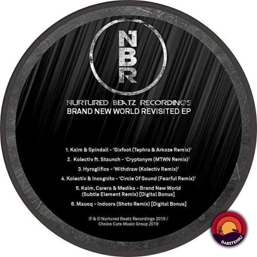 VA - Brand New World Revisited 2019 [EP]