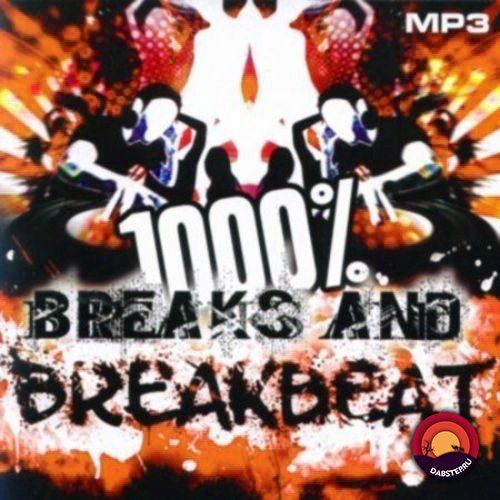 Top 100 Best Breaks & BreakBeat Pack 2020 Vol 17