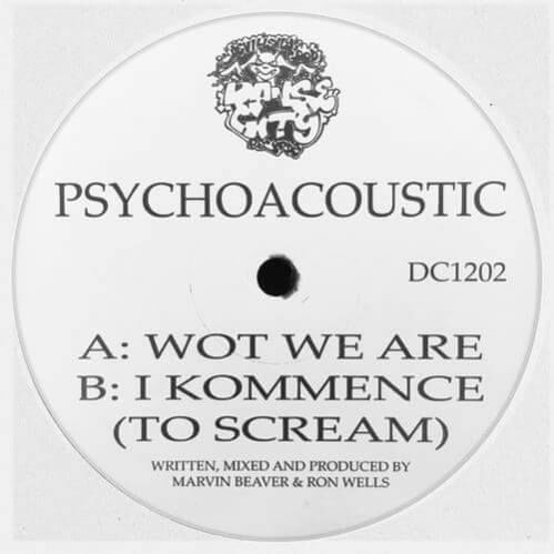 Download Psychoacoustic - Wot We Are / I Kommence (To Scream) mp3