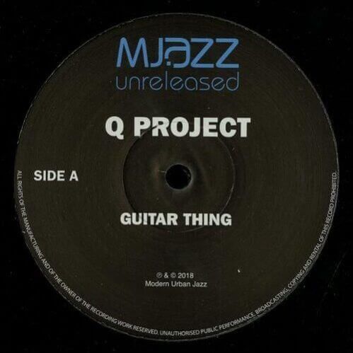 Download Q Project - Guitar Thing / Wild Pitched / Instrumental (Remix) mp3
