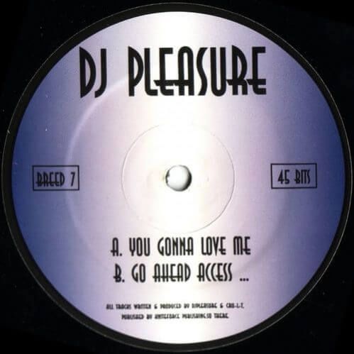 DJ Pleasure - You Gonna Love Me / Go Ahead Access