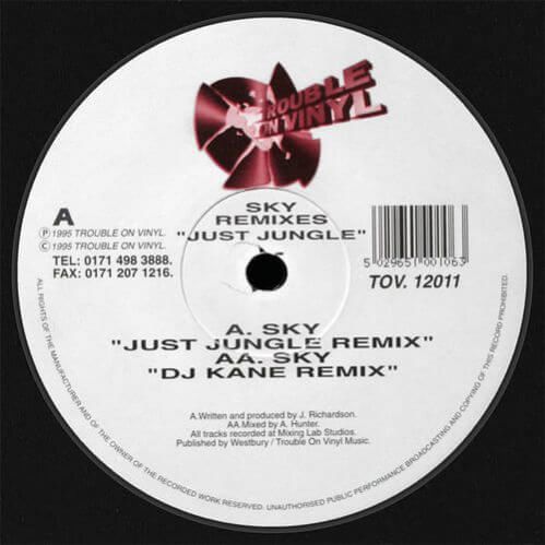 Just Jungle - Sky Remixes