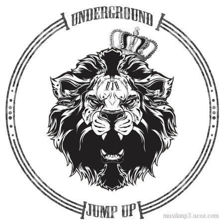 Download VA — BEST OF JUMP UP 200 TRACKS: DRUM & BASS [VOL. #01] mp3