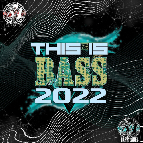 VA - Bass-A-holix Anonymous: This Is Bass 2022 (BAR093)