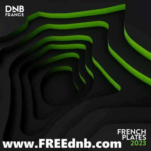 Download VA - DNB FRANCE FRENCH PLATES 2023 mp3