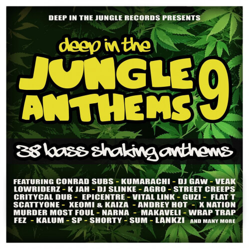 Download VA - Deep In The Jungle Anthems 9 (The Final Chapter) (DEEPIN102) mp3