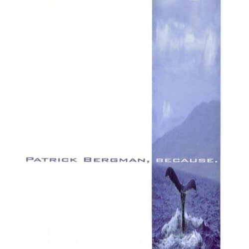 Patrick Bergman - Because