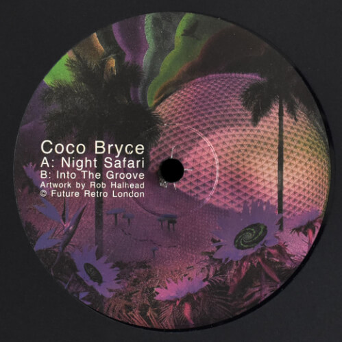 Download Coco Bryce - Night Safari / Into The Groove mp3